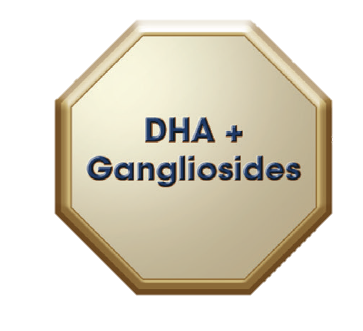 Anmum Essential contains DHA and Gangliosides